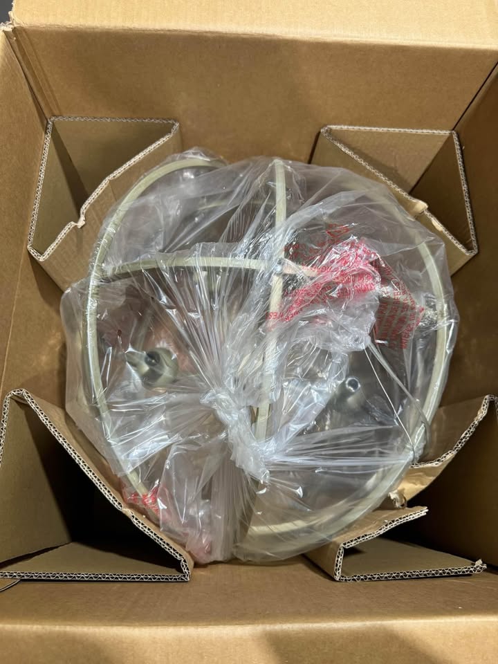 Home Decorators Collection Sarolta Sands 5-Light Antique Silver Leaf Chandelier Light Fixture with Caged Globe Metal Shade