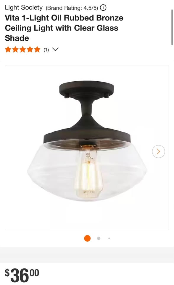 Light Society Vita 1-Light Oil Rubbed Bronze Ceiling Light with Clear Glass Shade